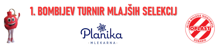 Planika Logo